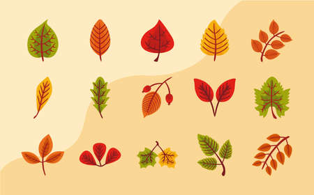 bundle of fifteen autumn leaves flat style icons vector illustration designのイラスト素材