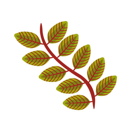 autumn pinnate leaf flat style icon vector illustration designのイラスト素材