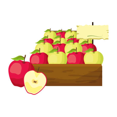 apples fresh tropical fruits in wooden box vector illustrationのイラスト素材