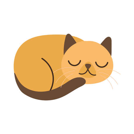 cute little cat pet hand draw style icon vector illustration designのイラスト素材