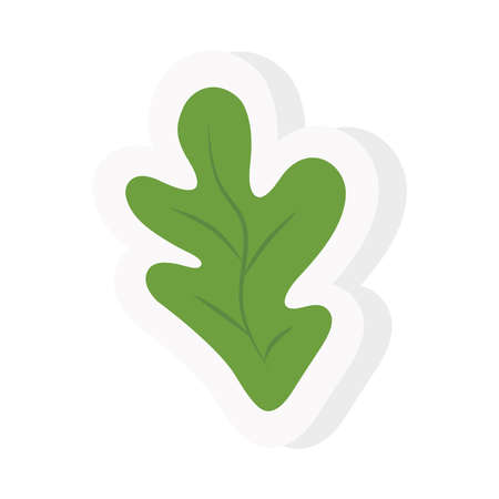 leaf sticker and flat style icon design of Natural floral nature and plant theme Vector illustrationのイラスト素材