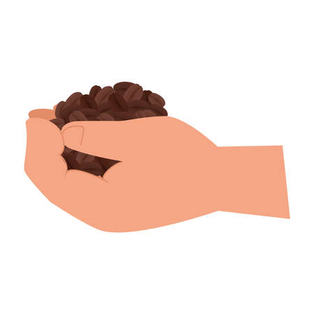 hand holding coffee beans design of drink caffeine breakfast and beverage theme Vector illustrationのイラスト素材