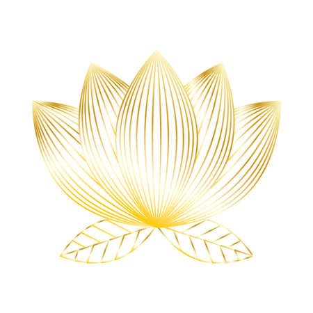 golden lotus flower garden nature icon vector illustration designのイラスト素材