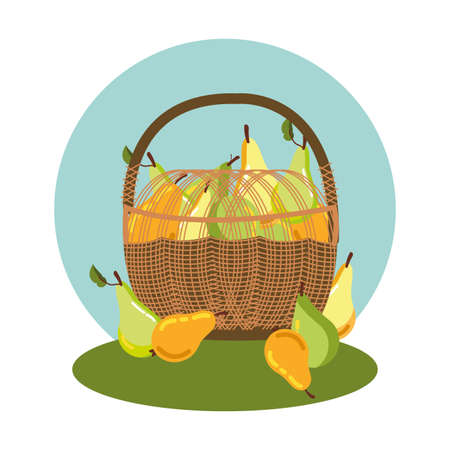 pears of autumn in basket wicker vector illustration designのイラスト素材