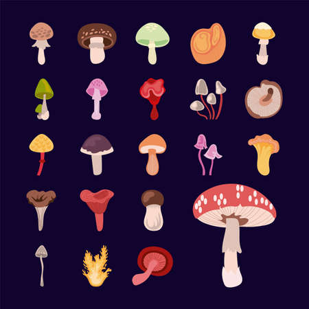 bundle of fungus set icons vector illustration designのイラスト素材