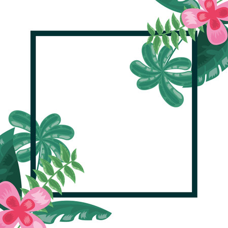 tropical flower leaves foliage frame decoration vector illustrationのイラスト素材