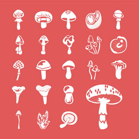 bundle of fungus set icons vector illustration designのイラスト素材