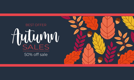autumn sale poster with lettering and leafs pattern frame in blue background vector illustration design