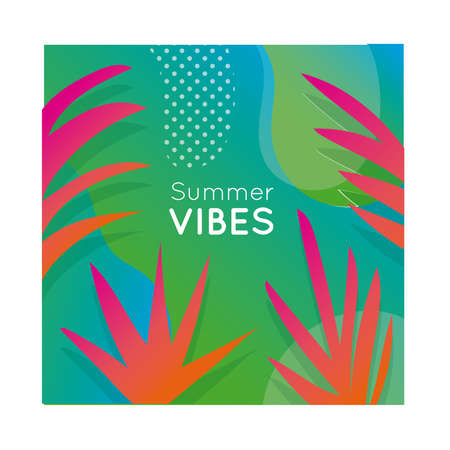 summer vibes colorful banner with leafs plant vector illustration designのイラスト素材