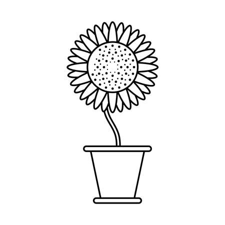 sunflower growth plant in ceramic pot line style icon vector illustration designのイラスト素材