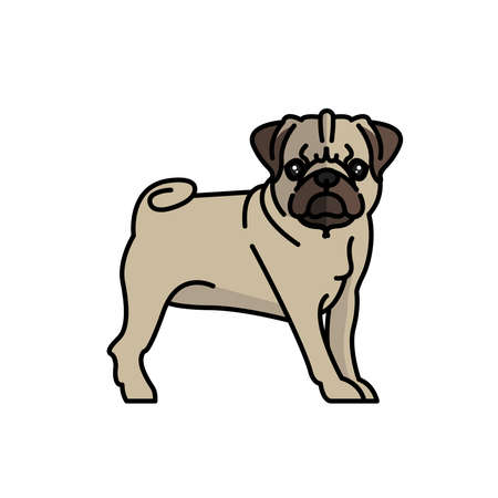 pug dog pet mascot breed character vector illustration designのイラスト素材