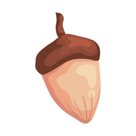 autumn season nut seed isolated icon vector illustration designのイラスト素材