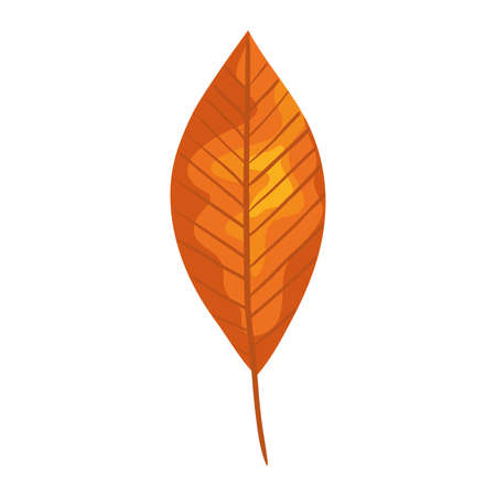 autumn season orange leaf plant nature vector illustration designのイラスト素材