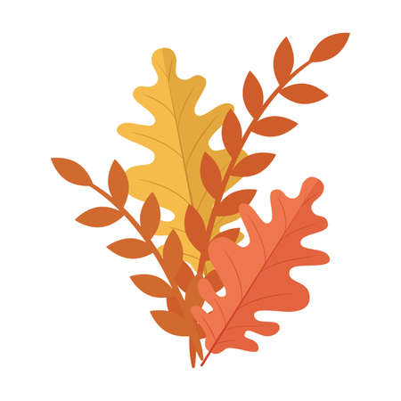 autumn season orange and yellow leafs and branches plant nature vector illustration designのイラスト素材