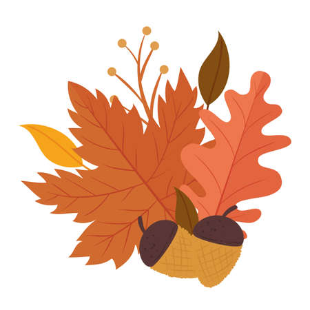 autumn season leafs and nuts plant nature vector illustration designのイラスト素材
