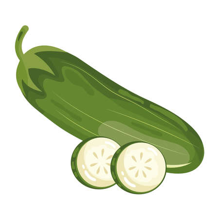 fresh cucumber vegetable healthy food icon vector illustration designのイラスト素材