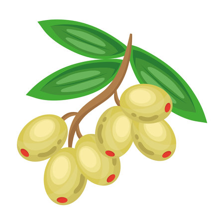 fresh vegetable olive seed healthy food icon vector illustration designのイラスト素材