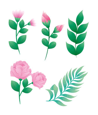 bundle of five beautiful roses flowers and leafs decorative icons vector illustration designのイラスト素材