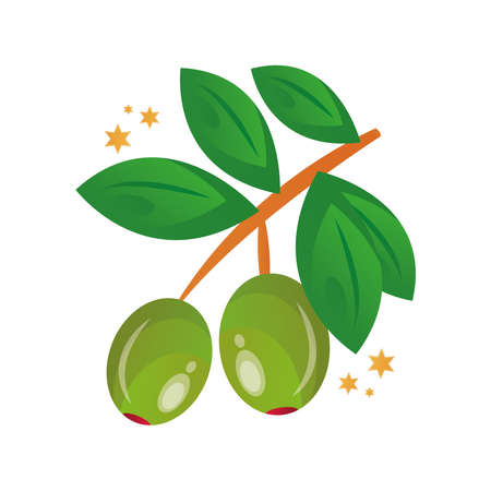 branch with olives seeds and leafs vector illustration designのイラスト素材