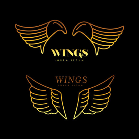 golden wings feathers birds line style icons vector illustration designのイラスト素材