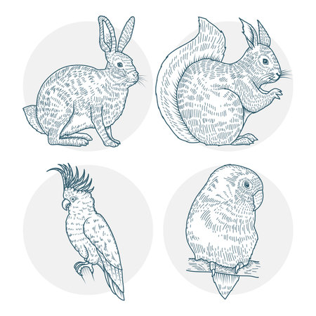 group of four animals realistic characters drawn style icons vector illustration designのイラスト素材