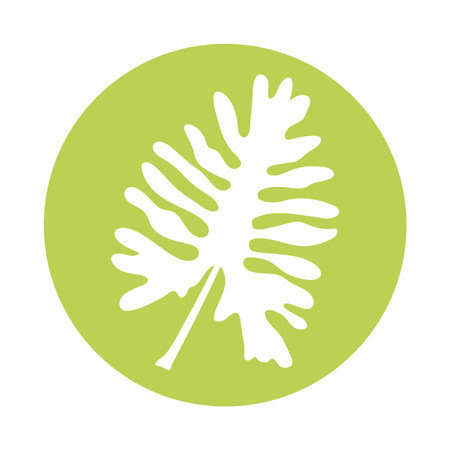 tropical leaf palm silhouette style icon vector illustration designのイラスト素材