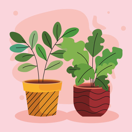 bundle of two house plants in ceramic pots vector illustration designのイラスト素材