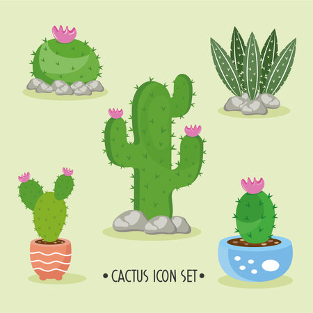 bundle of five cactus plants and lettering set icons vector illustration designのイラスト素材