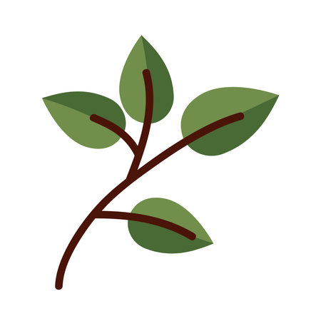 leaf with four leaves line and fill style icon design of Plant natural floral theme Vector illustrationのイラスト素材
