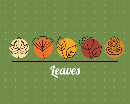 leaves line style icons on pointed background design of Plant natural floral and theme Vector illustrationのイラスト素材