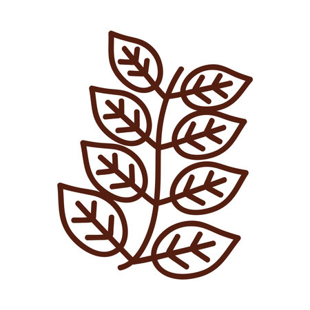leaf with eight leaves line style icon design of Plant natural floral theme Vector illustrationのイラスト素材