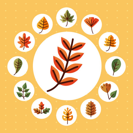 leaves line and fill style set of symbols design of Plant natural floral and theme Vector illustrationのイラスト素材