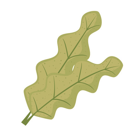 leafs plant ecology nature icons vector illustration designのイラスト素材
