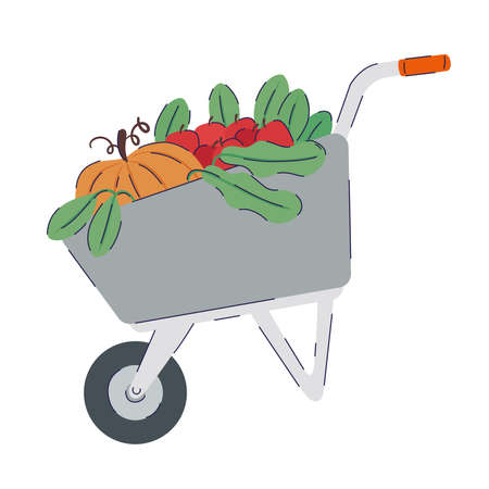 wheelbarrow with fresh vegetables organic product vector illustration designのイラスト素材