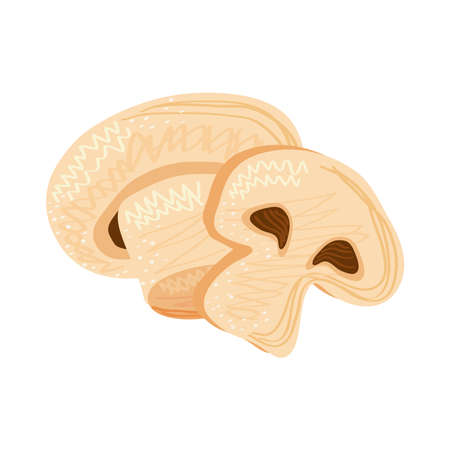 mushroom vegetable healthy food icon vector illustration designのイラスト素材