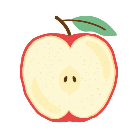 half apple fresh fruit icon vector illustration designのイラスト素材