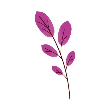 branch with purple leafs spring season foliage vector illustration designのイラスト素材