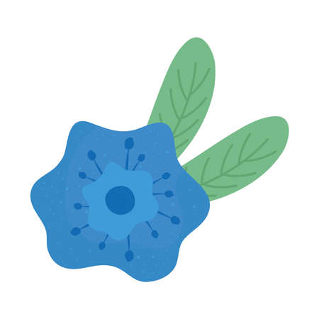 cute blue flower and leafs spring icon vector illustration designのイラスト素材