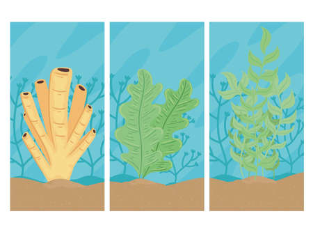 three underwater world with seaweed seascapes scenes vector illustration designのイラスト素材