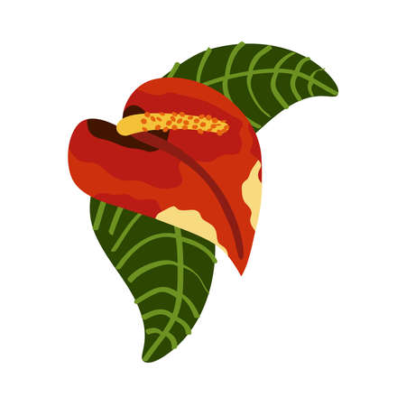 exotic and tropical red flowerのイラスト素材
