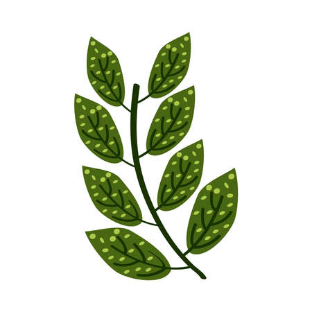 exotic branch foliage tropical iconのイラスト素材