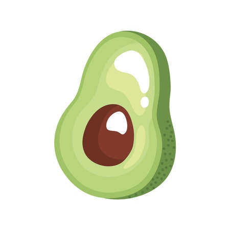 fresh avocado healthy food iconのイラスト素材