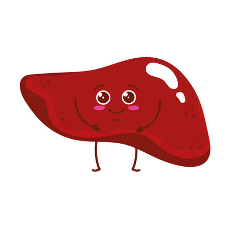 cute organ liver human iconのイラスト素材