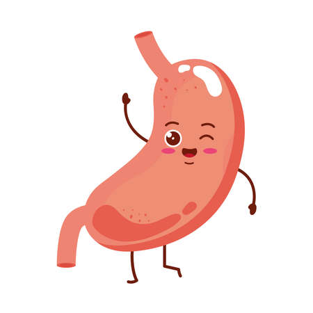 cute organ stomach human iconのイラスト素材