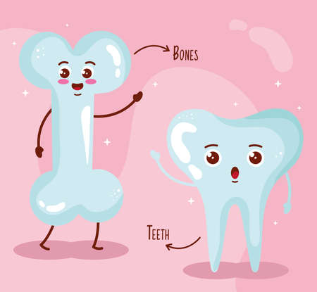 bones and tooth cute organsのイラスト素材