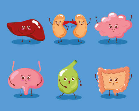 cute six organs humans iconsのイラスト素材