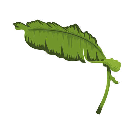 exotic leaf plant tropical iconのイラスト素材