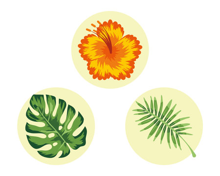 tropical leafs and flower exoticのイラスト素材