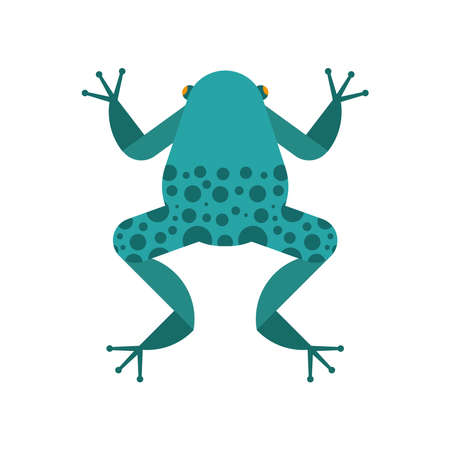 frog cute amphibian comic characterのイラスト素材