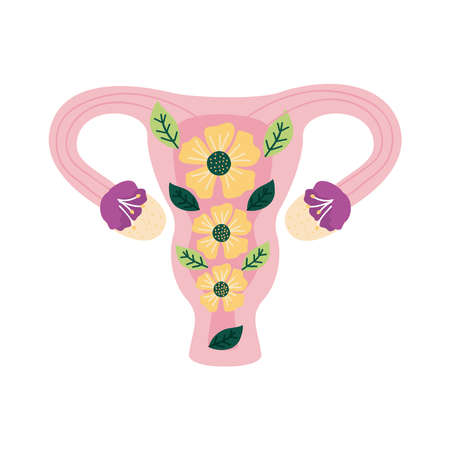 uterus and yellow flowers decorationのイラスト素材